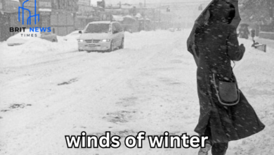 winds of winter